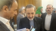 ولایتی: تروریسم تکفیری با سازمان های امنیتی منطقه ای و بین المللی مرتبط است