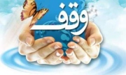 نیم میلیون جلد کتاب وقفی در کشور وجود دارد