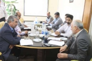 واردات کنسرو زیتون بی حساب و کتاب است