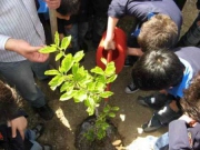 مهر و محیط زیست
