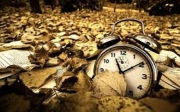 پیمانه سال 95 به نیمه رسید   * افشین شاعری