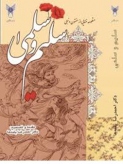 سلیم و سلمی؛ منظومه ای به پیروی از لیلی و مجنون نظامی