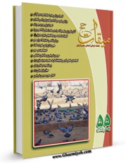 امكان دسترسی به كتاب الكترونیك میقات حج جلد 55 اثر نادر سلیمانی بزچلوئی فراهم شد.