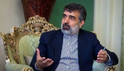 کمالوندی: پرداختن به موضوعات گذشته هسته ای باید در زمان معقول به اتمام برسد