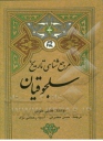 کتاب مرجع شناسی تاریخ سلجوقیان 