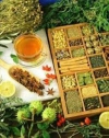 کتاب پراکنش گیاهان دارویی استان سمنان منتشر شد